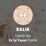 Balık Burcunu Yaptığı İşte En İyi Yapan Özellik