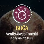 Boğa Burcu: Venüs Akrep Transiti Yorumu - 10 Eylül 2026