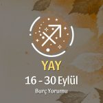 Yay Burcu: 16 - 30 Eylül Burç Yorumu