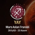 Yay Burcu: Mars Aslan Transiti Burç Yorumu