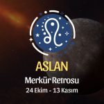 Aslan Burcu: Merkür Retrosu Burç Yorumu - 24 Ekim 2026
